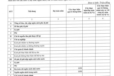 THKĐ – Công khai Báo cáo thực hiện dự toán và quyết toán thu chi NSNN 6 tháng đầu năm 2023