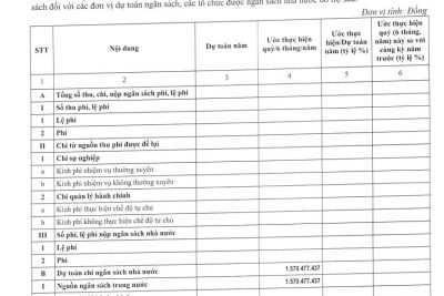 THKĐ – Công khai Báo cáo thực hiện dự toán và quyết toán thu chi NSNN Quý 4 năm 2022